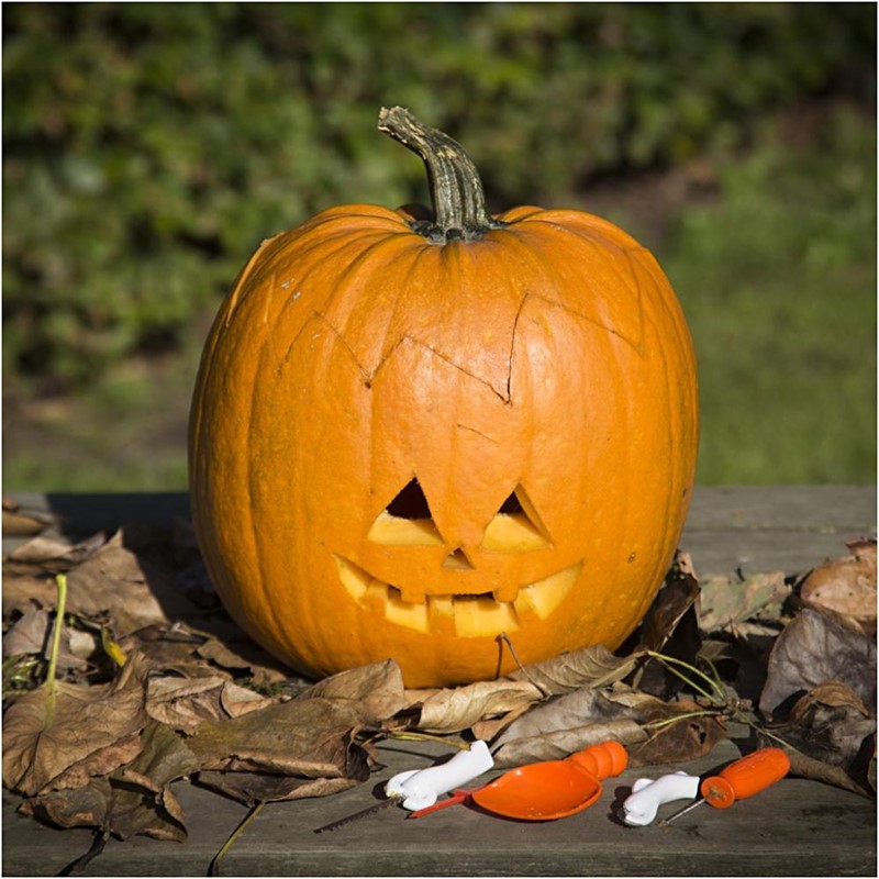 Halloween pompoen maken