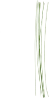 CC Bloemsteeldraad 30 cm Groen 20 Stuks