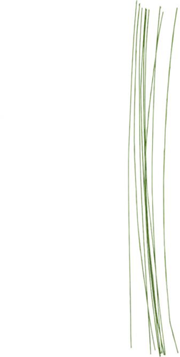 CC Bloemsteeldraad 30 cm Groen 20 Stuks