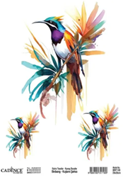 Cadence Birdsong Textieltransfer 25x35 cm Tropische vogel