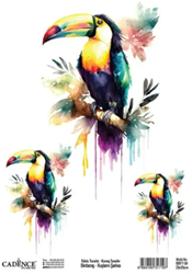 Cadence Birdsong Textieltransfer 25x35 cm Toekan
