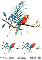 Cadence Birdsong Easy Transfer 25x35 cm Papagaai