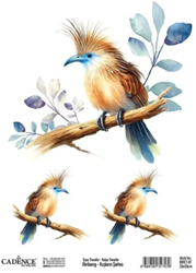 Cadence Birdsong Easy Transfer 25x35 cm Vogel blauwe snavel