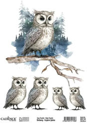 Cadence Birdsong Easy Transfer 25x35 cm Uil