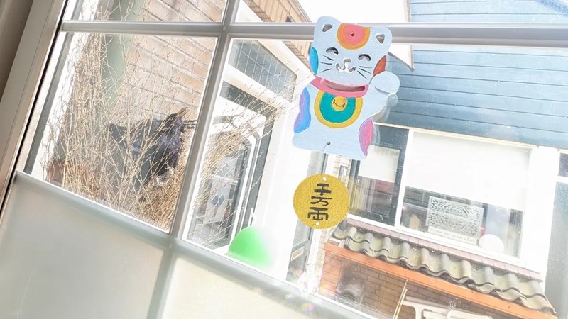 Zonnevanger maken en schilderen met een DIY-kit